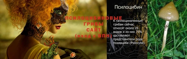 стафф Бородино